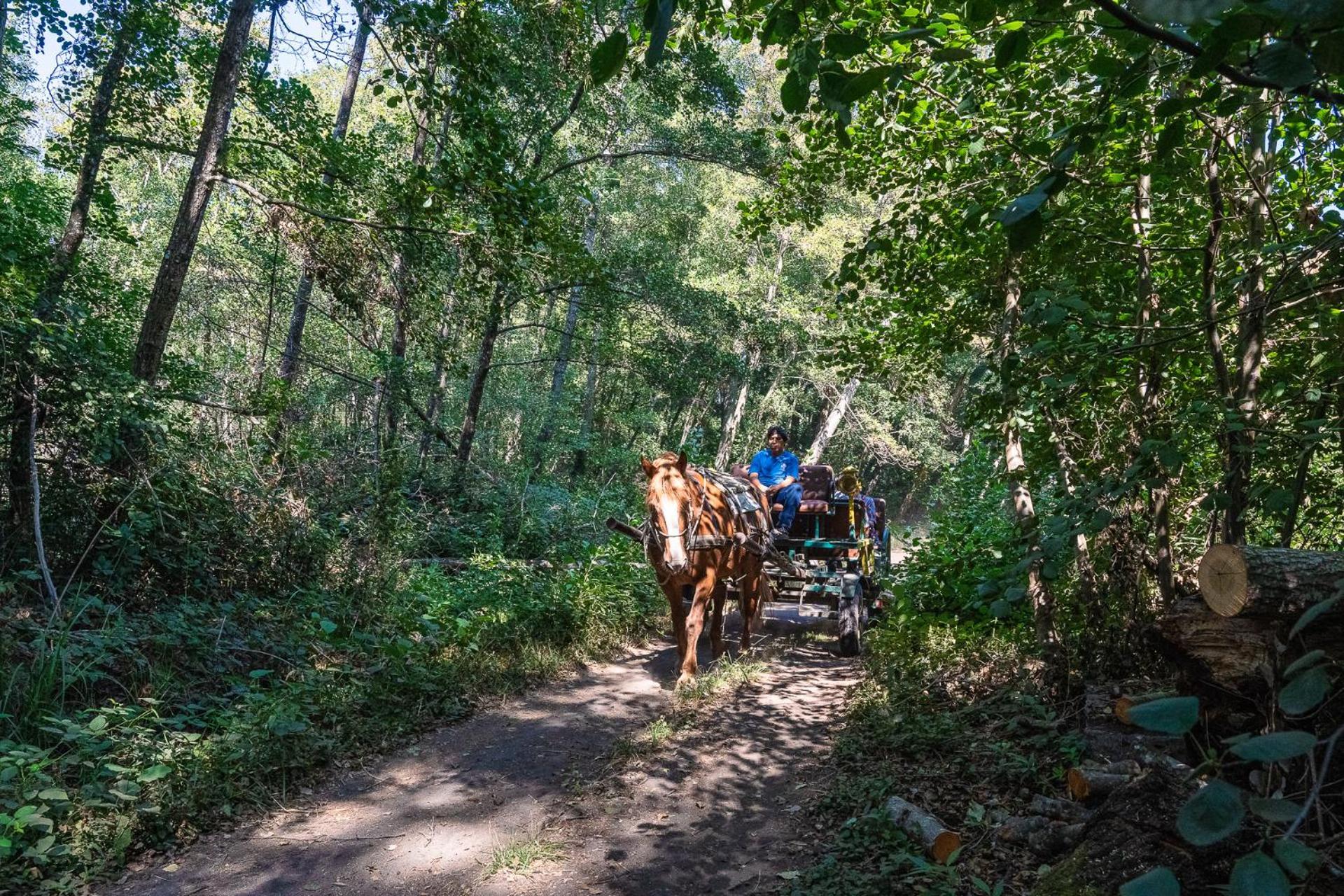 Hotel Salto Del Laja Los Ángeles 외부 사진